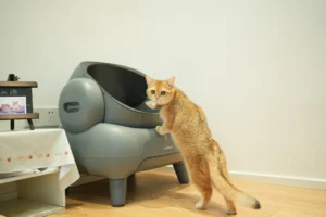 An orange tabby cat stands into a modern, grey automatic litter box.